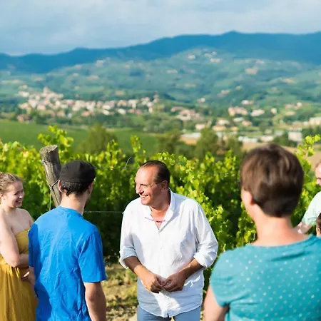 Streda Wine & Country *