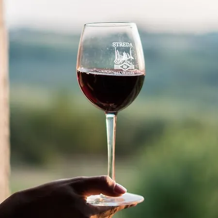 Фермерский дом Streda Wine & Country *
