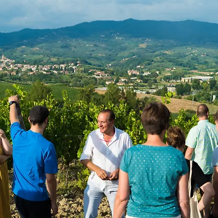 Streda Wine & Country Vinci