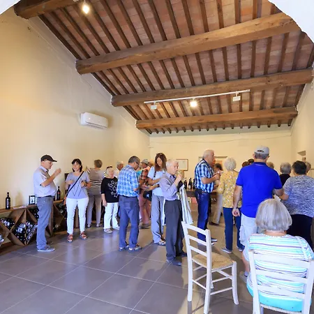 Streda Wine & Country *