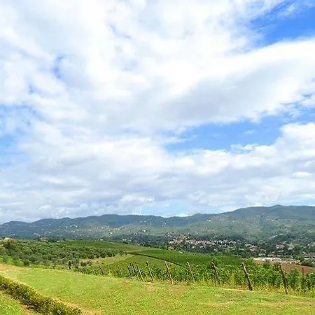 Streda Wine & Country *