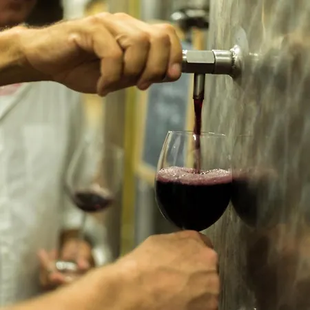 Фермерский дом Streda Wine & Country *