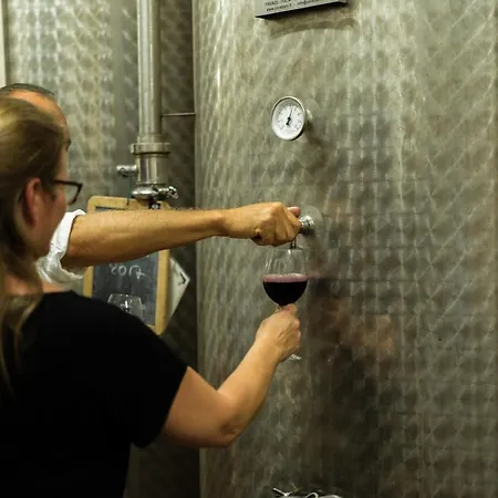 Streda Wine & Country Винчи