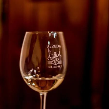 ファームステイ Streda Wine & Country *