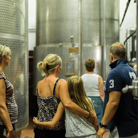 Streda Wine & Country Vinci